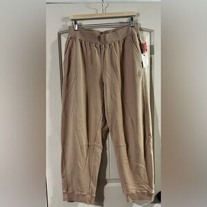 NWT Free People X Hatch Intercept Pants